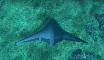 Este proyecto está en línea