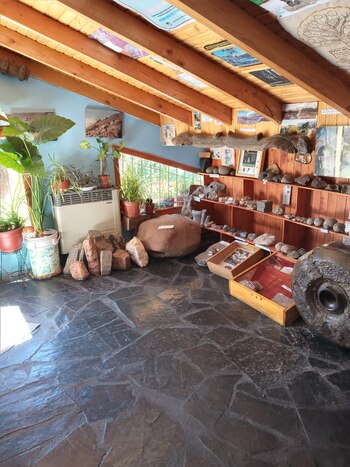 Huinganco Museo del Árbol y la Madera