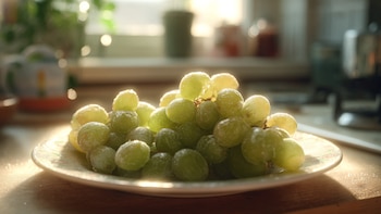 Snack de proteína con solo