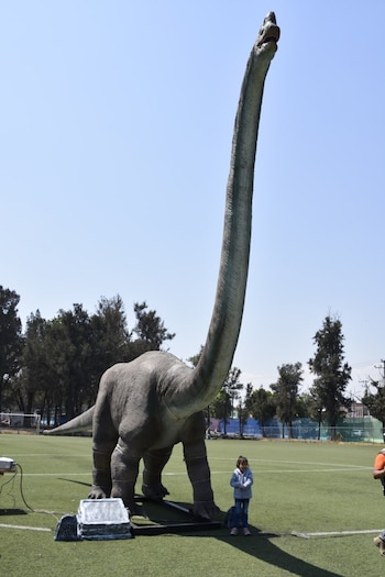 Las figuras tendrás sonido y