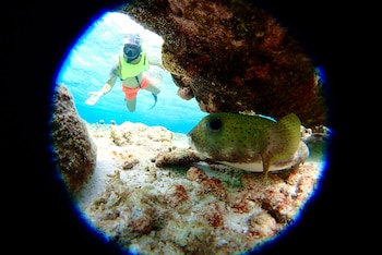 Se puede alquilar los elementos