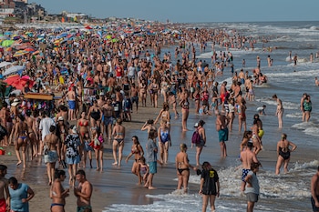 Los protocolos buscan evitar las