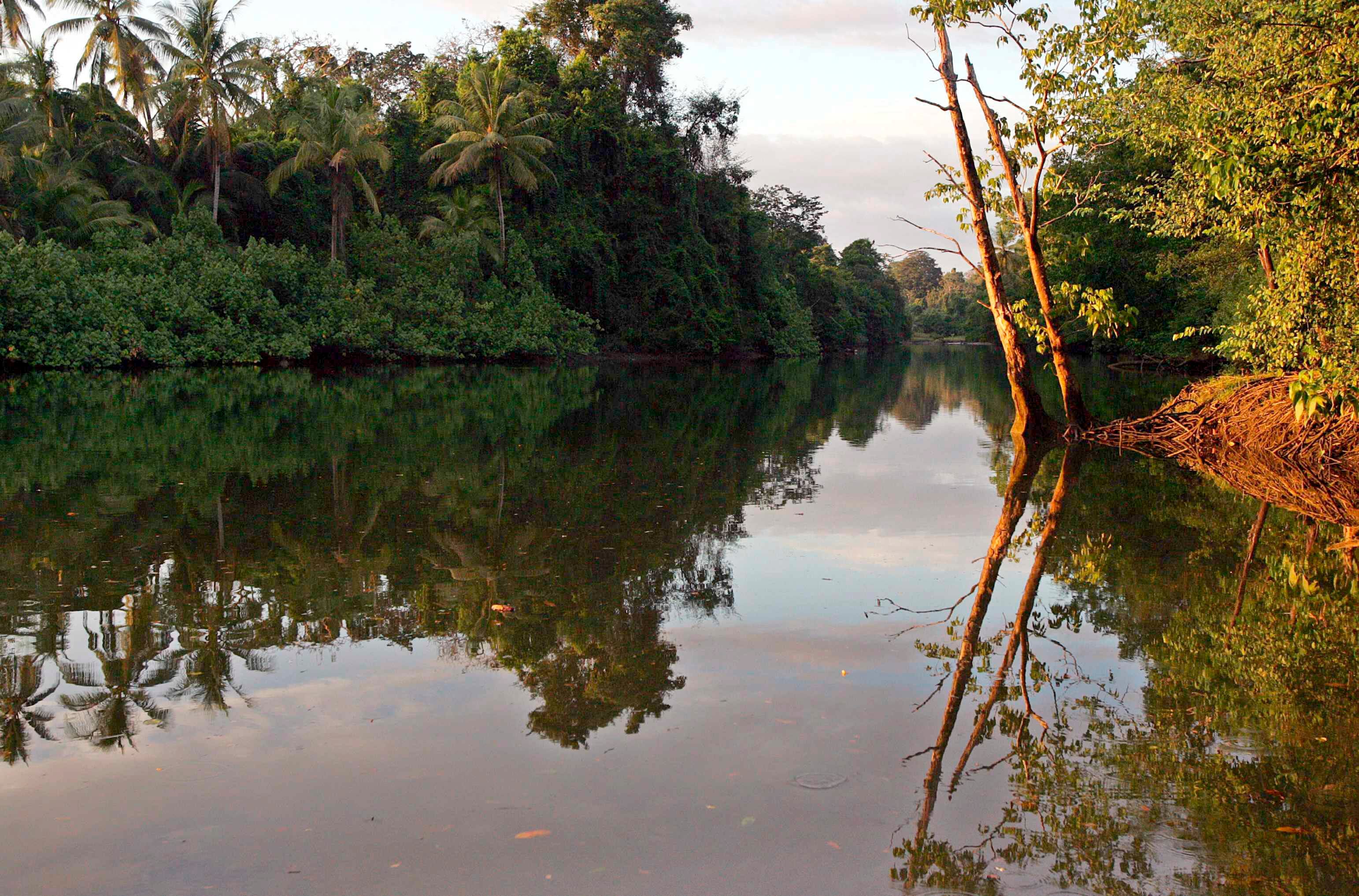 Fotografía de archivo que muestra la Península de Osa, en el Pacífico sur de Costa Rica. EFE/Jeffrey Arguedas