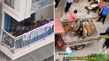 Los vecinos se quejaron del