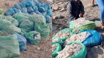 Minsa y Digesa toman acciones al hallar cientos de vacunas contra la influenza en playa Oquendo