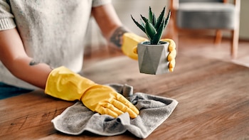 Javier Clemente, ambientólogo: “Estas son