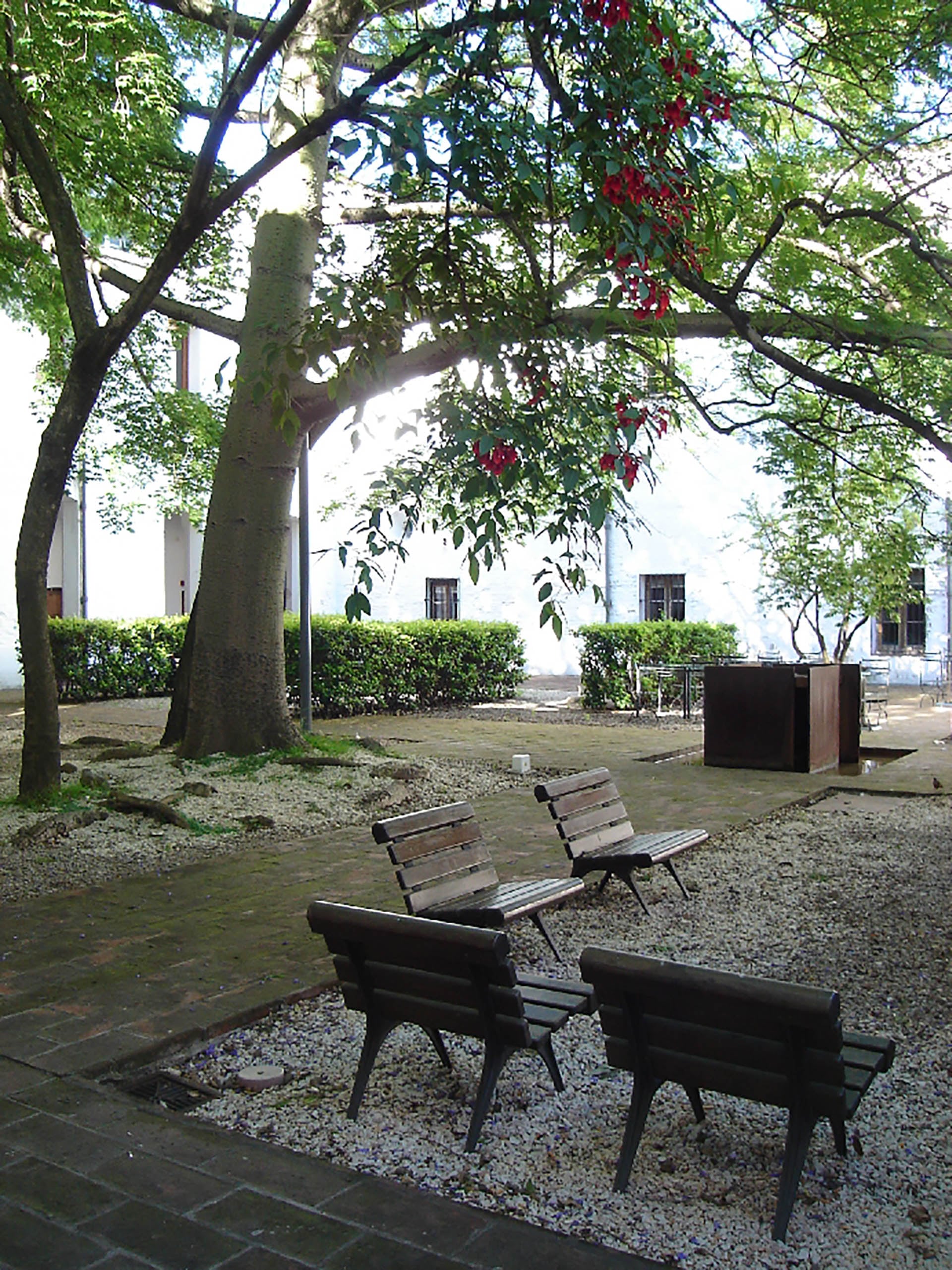 El tranquilo patio del Monasterio Santa Catalina, un oasis verde en el microcentro porteño