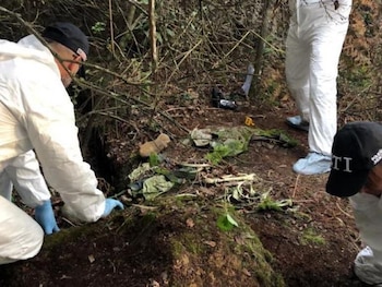 La Fiscalía realizó al menos 12 excavaciones buscando a los jóvenes desaparecidos