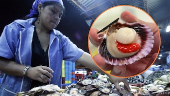 Produce autoriza la pesca de