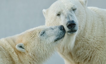 Organizaciones ambientales y centros educativos