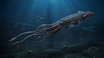 Un cefalópodo grande con tentáculos extendidos nada en el fondo marino azul junto a peces y reptiles acuáticos al fondo.