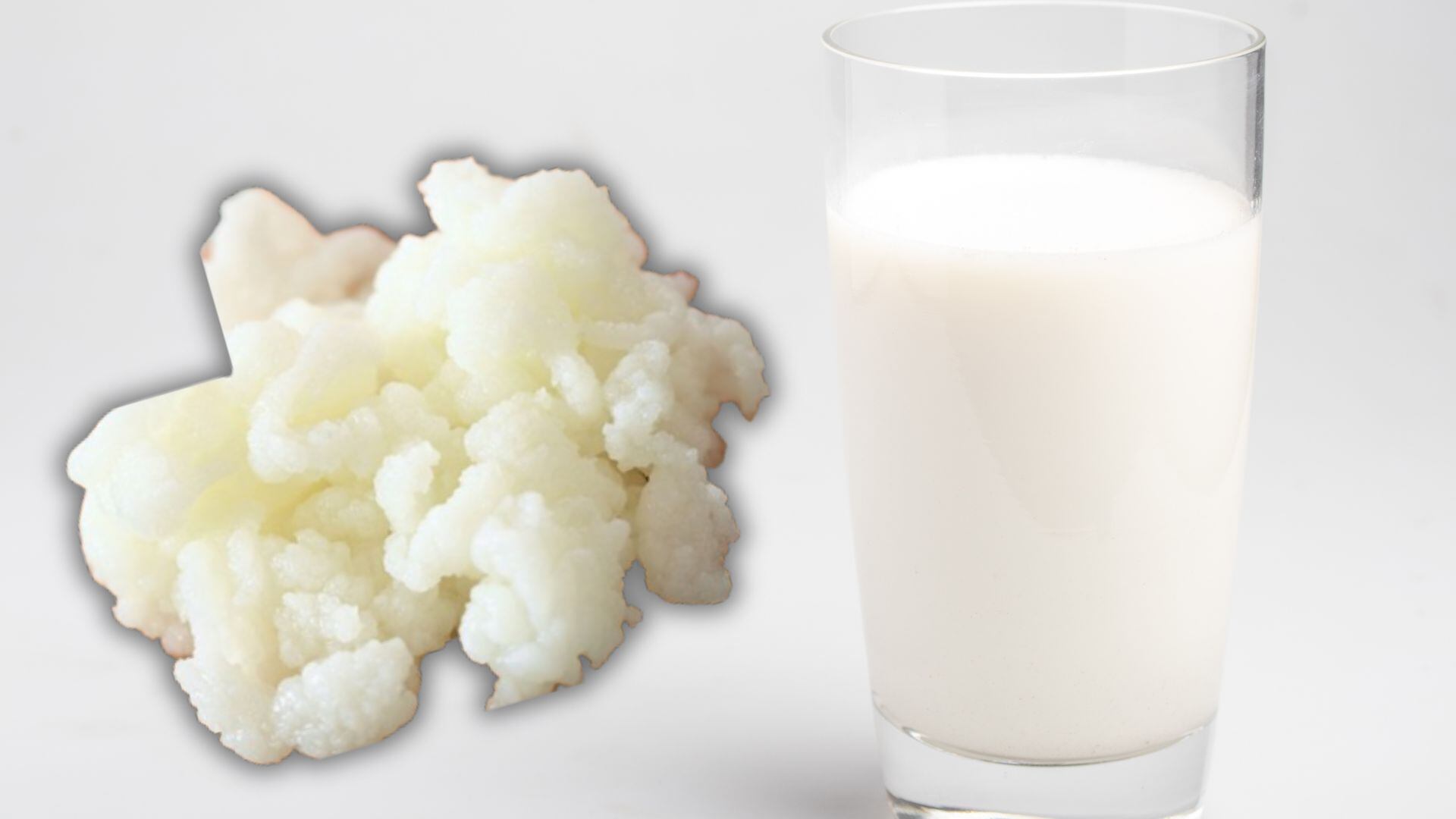 Búlgaros de leche. (Infobae/Anayeli Tapia)