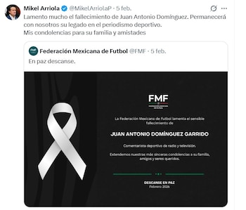 La Federación Mexicana de Futbol