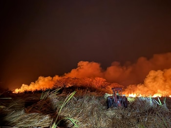 Bomberos forestales del ACAT y brigadistas trabajan a contrarreloj en Palo Verde para contener las llamas, que ya consumen 400 hectáreas (Cortesía CR HOY).