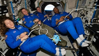 Tras Artemis II, expertos argentinos buscan resolver el desafío del sueño y el descanso en el espacio