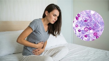 Qué tan probable es que la ciclosporiasis llegue a México y provoque un brote de “diarrea explosiva”