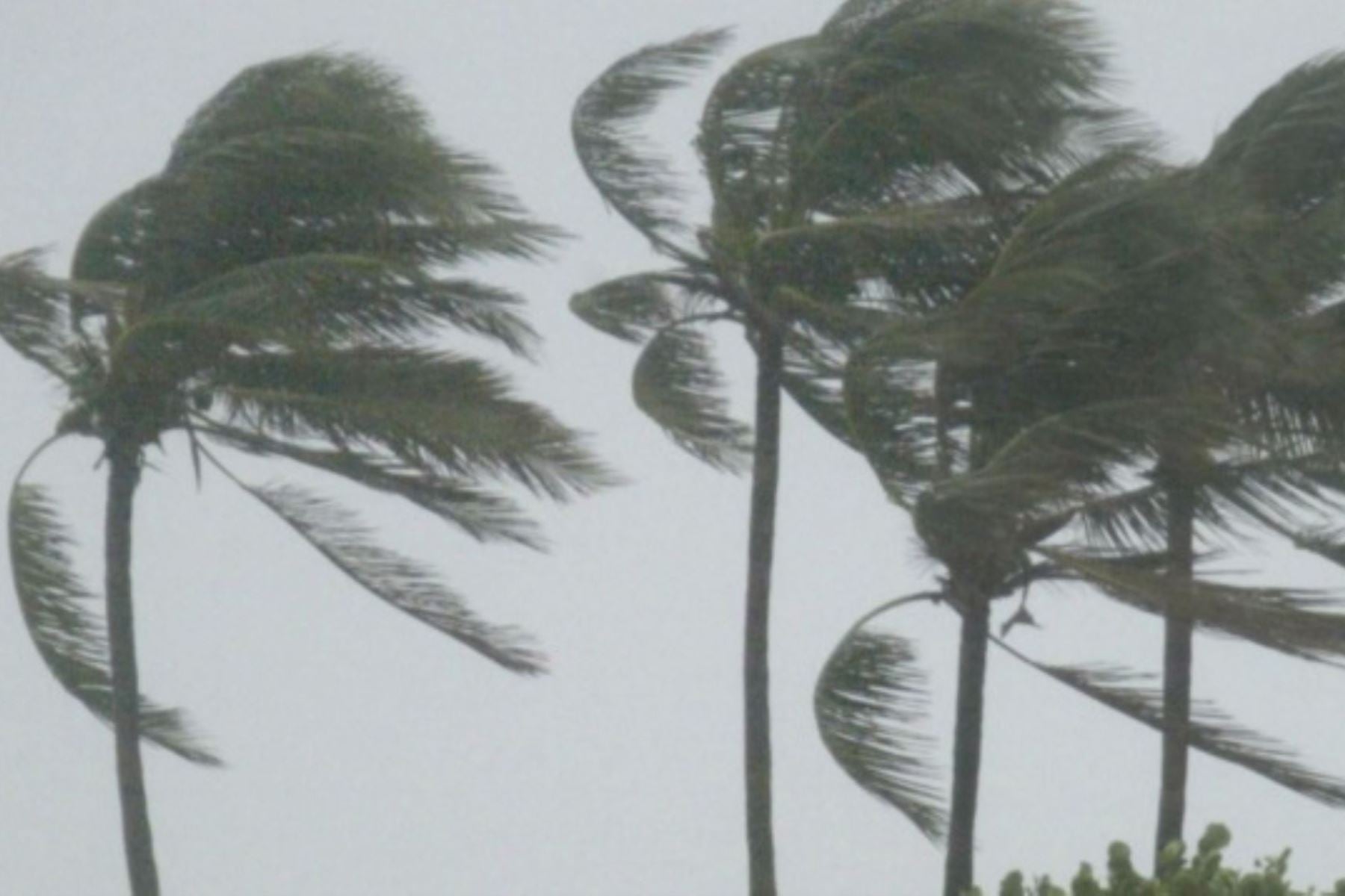 Se registrarán vientos fuertes en la sierra norte. (Foto: Andina)