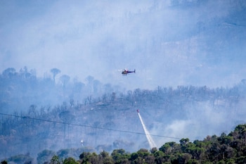 Bomberos continúan trabajando en el incendio forestal de La Bisbal de l’Empordà. (EFE/David Borrat)