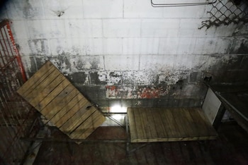 Clara Brugada anuncia la