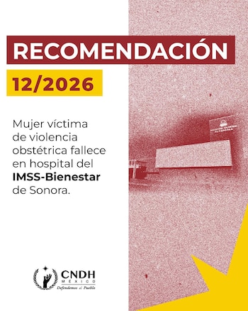 La recomendación fue notificada a sus destinatarios y se encuentra disponible para su consulta pública. (Crédito: @CNDH)