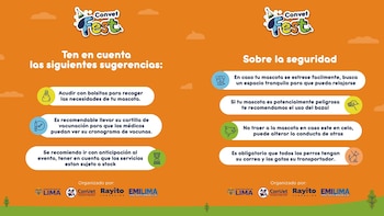 Recomendaciones para el Convent Fest