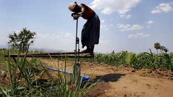 El PMA pide ayuda urgente para atender la crisis alimentaria en Malaui causada por la sequía