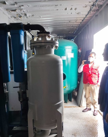 El hallazgo: una planta de