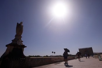 Una viandante se protege del sol con un paraguas en Córdoba este domingo. (EFE/Salas)