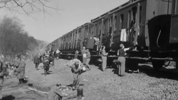 En los comentarios de la