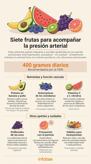 Ilustraciones de banana, palta, sandía, arándanos, kiwi, uvas y pomelo acompañadas de textos informativos sobre nutrición.
