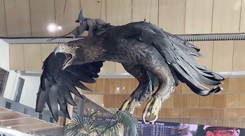 Wellington fue el epicentro creativo