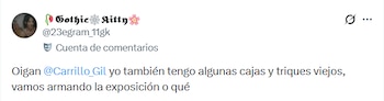 Captura de pantalla con un mensaje del usuario Gothic Kitty dirigido a la cuenta de la institución Carrillo Gil
