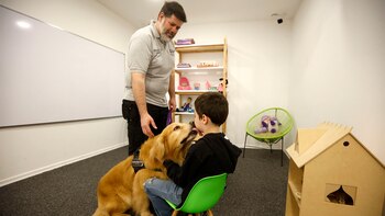 Su presencia busca evitar que