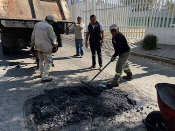 (Foto: Twitter/@XochimilcoAl)