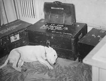 Willie fue fotografiado lamentando la