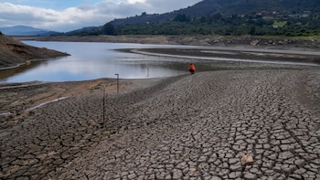 Advierten por sequía en Colombia que podría durar hasta 2027: director de la CAR lanza alerta por el panorama