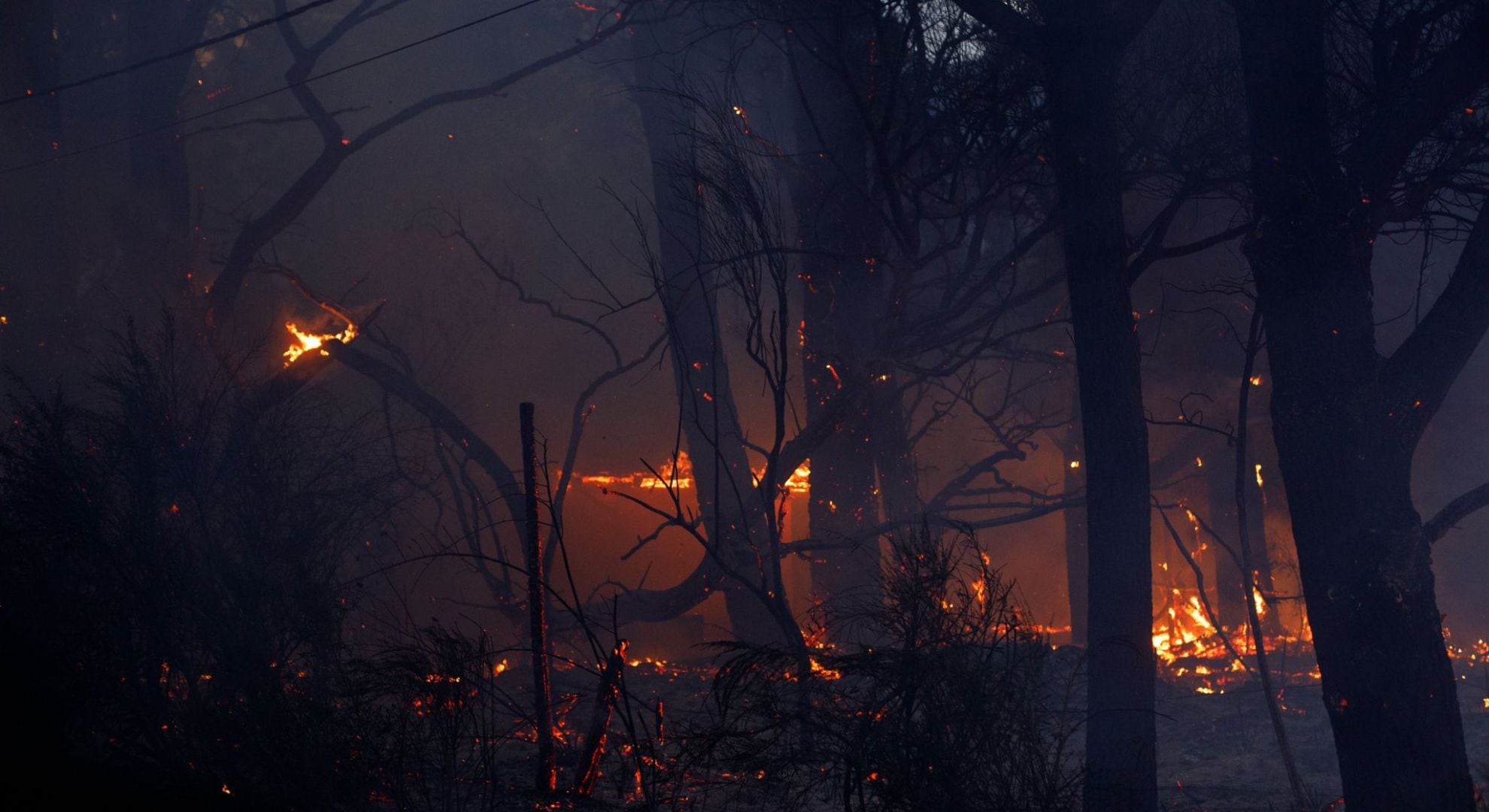 El informe técnico del Servicio Nacional de Manejo del Fuego advierte sobre el aumento de biomasa y riesgo de incendios en Chubut (X: @hernangiardini)