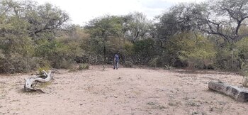 En coordinación con equipos de