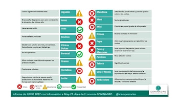 economías regionales
