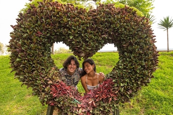 Serpar informó que las actividades