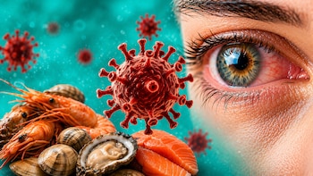 Científicos alertan sobre un virus marino que podría provocar ceguera: ¿Ya llegó a México?