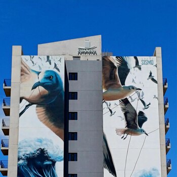 ‘Mensajeras', de Fernando Lerena y