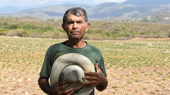 Por qué 3.1 millones de guatemaltecos enfrentarán inseguridad alimentaria en septiembre en el Corredor Seco
