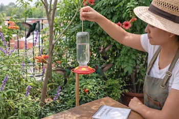 Una mujer con sombrero de paja y delantal sostiene un comedero de aves. Cuatro colibríes, con plumaje verde y rojo, vuelan entre plantas florales.