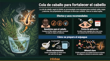 Infografía con cola de caballo en un vaso de agua, cabello, moléculas, iconos de uso y preparación, y texto informativo de la UNAM y Infobae.