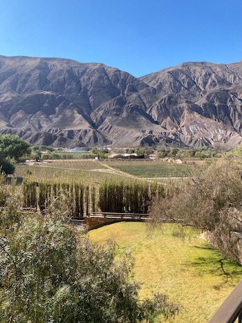 La industria se adaptó a