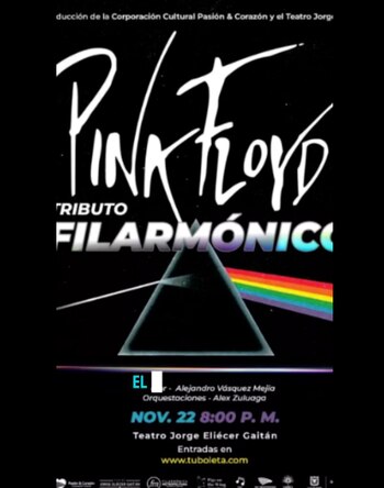 Durante sus 6 años de