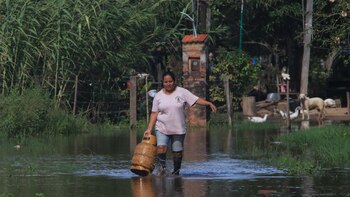 Bolivia reporta más de 4.000