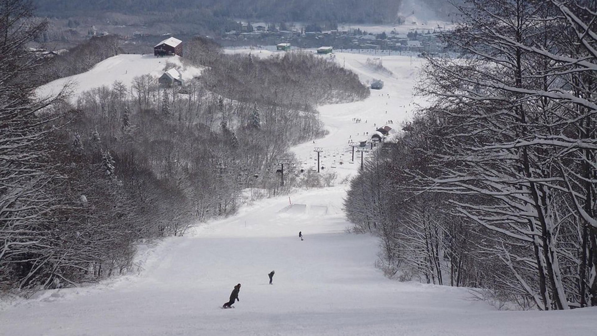 Actualmente se está realizando investigación interna para esclarecer lo sucedido en el lugar