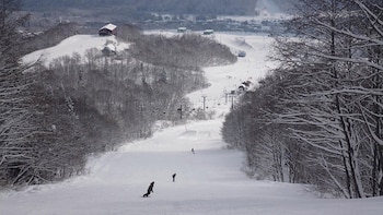 Actualmente se está realizando investigación
